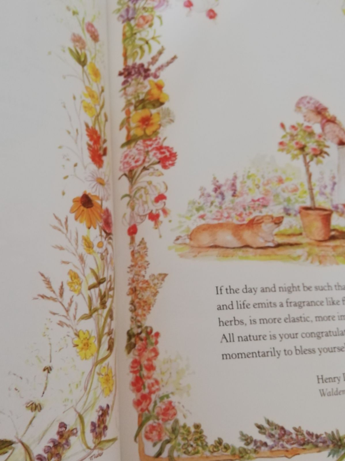 The Springs Of Joy　Tasha Tudor　洋書　喜びの泉　ターシャ テューダーと言葉の花束