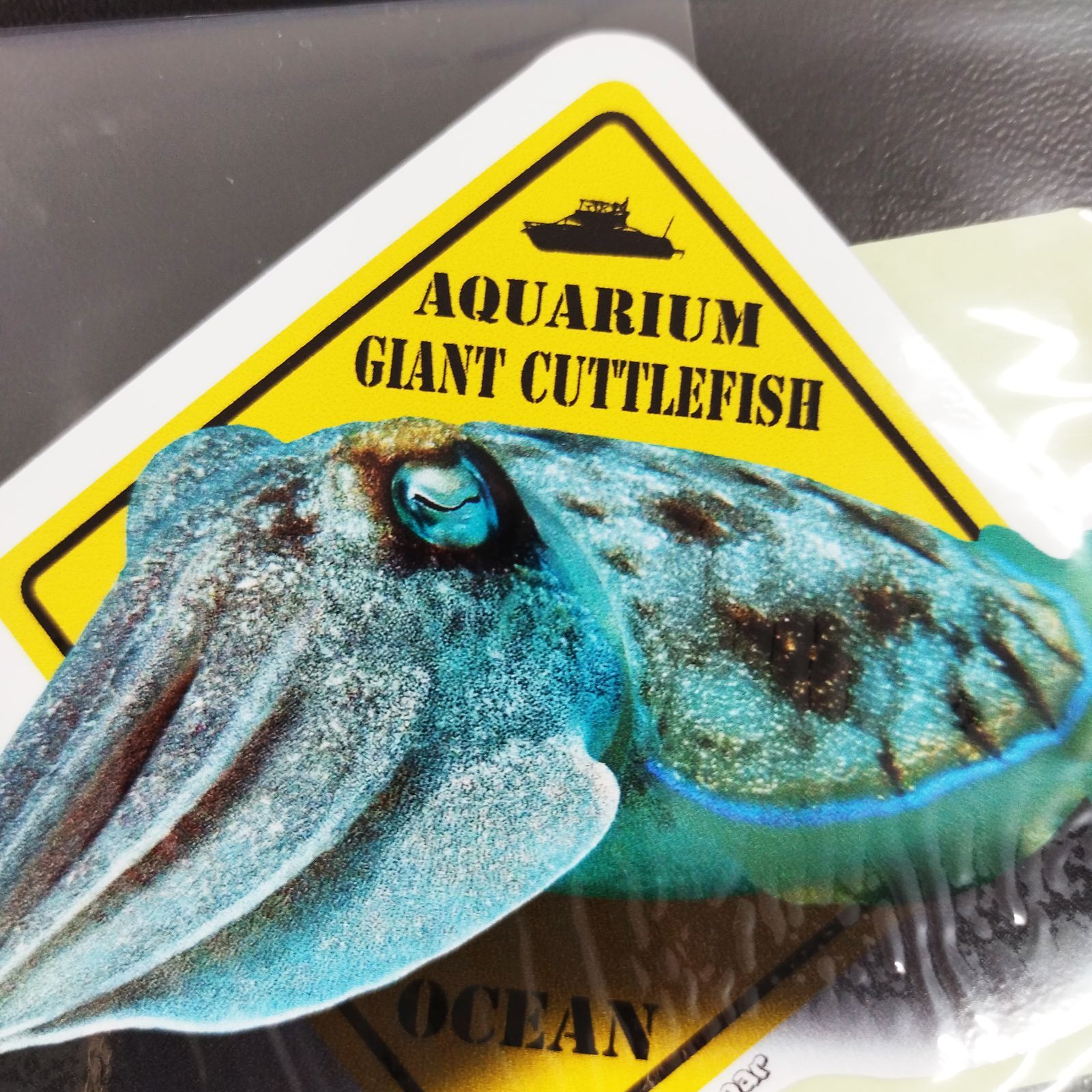 送料無料 トリックアート 狆穴子 OCEAN オーシャン 水族館 海
