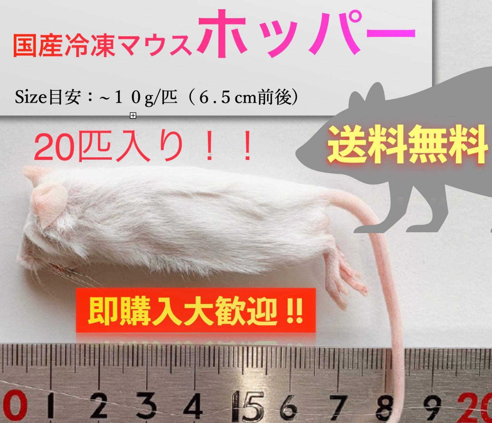 送料無料】国産冷凍マウスホッパー 20匹入@即購入OK！北海道・沖縄の方 