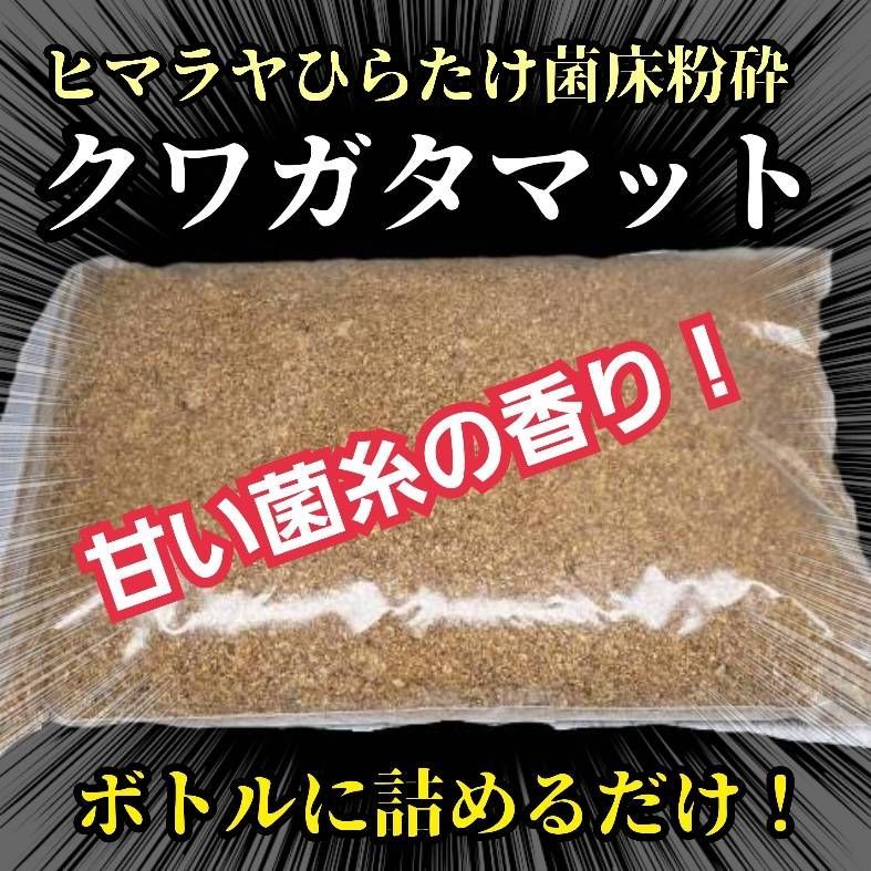 特別セーフ 大人気！ヒマラヤひらたけ菌床粉砕クワガタマット ボトルや 幼虫飼育・菌糸瓶