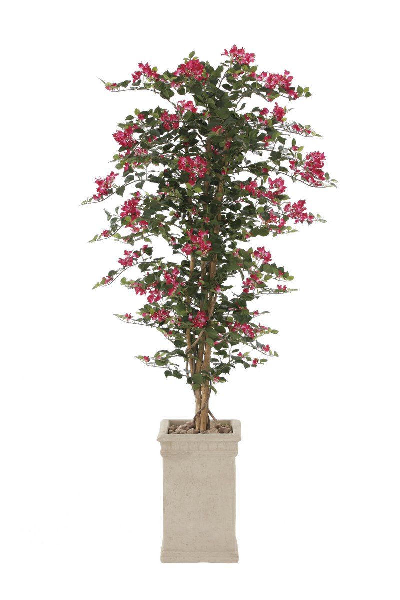 はなページ 光触媒観葉植物 ブーゲンビリア1.6〔フロアタイプ(ハイサイズ