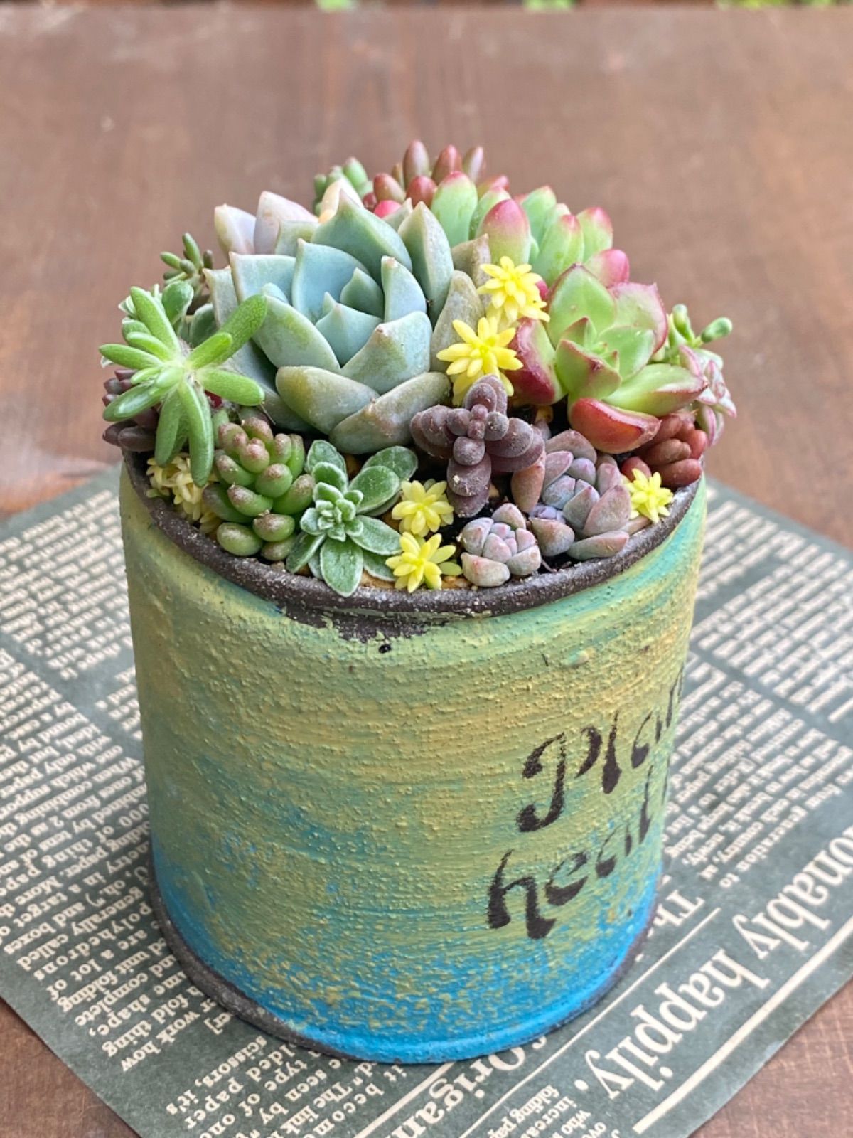 リメイク缶390☆アンティーク☆。.:＊・゜多肉植物☆寄せ植え