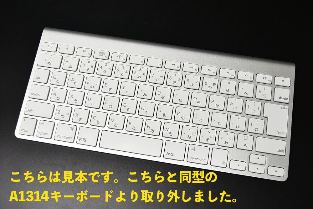 Apple 当日発送 Apple Mac キーボード A1314 【 option / alt 】キートップのみ 9-5 品 オプション オルト Keyboard パンタグラフ