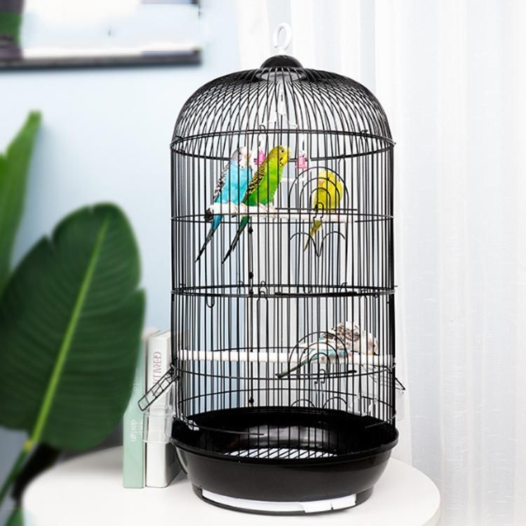 Amazon | Yaheetech 鳥かご 鳥ケージ 中型 バードケージ