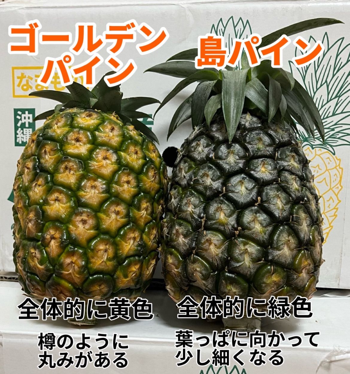 沖縄県石垣島産 ゴールデンパイン 約10キロ 沖縄県石垣島産ゴールデンパインジユワリーパインミックス計約10