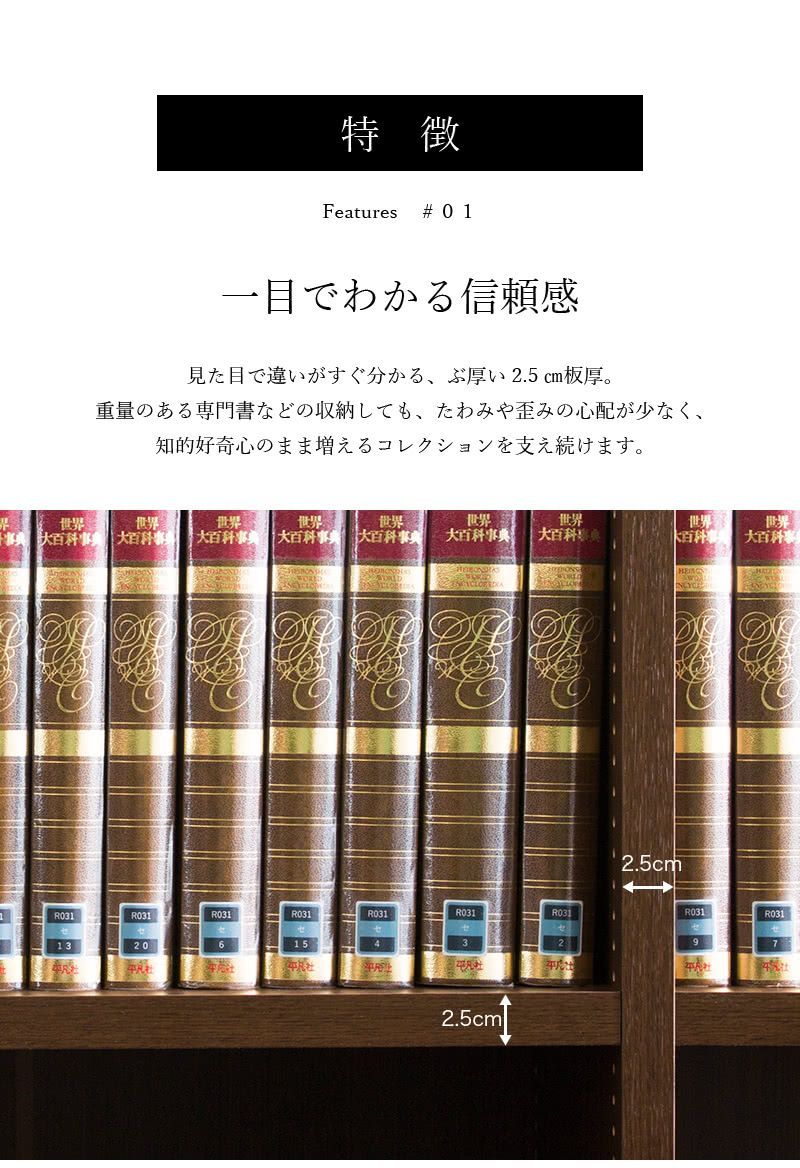 AKU1012706 強化シェルフ 2台セット 本棚 書棚 強化書棚 幅120 筋肉