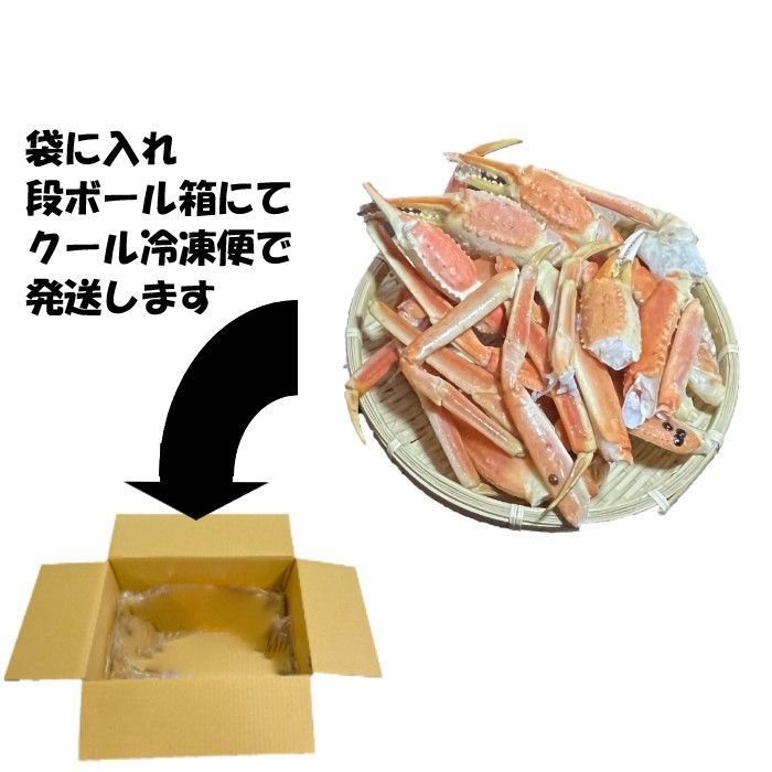 のサムネイル