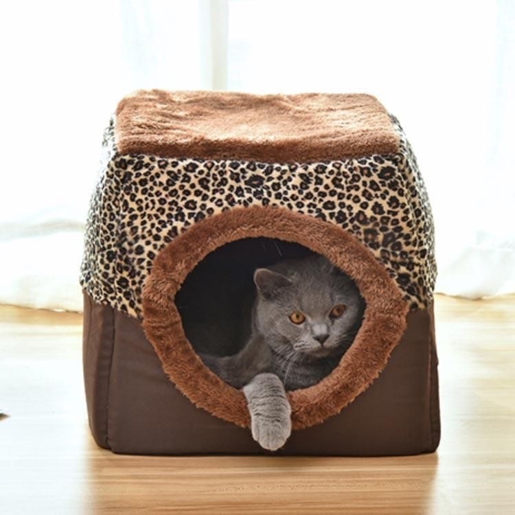 猫 犬