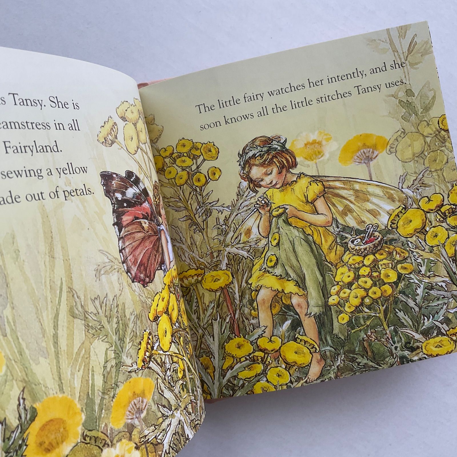 メルカリshops 洋書 絵本 フラワーフェアリーズ 彼女の名前 Flower Fairy 入手困難