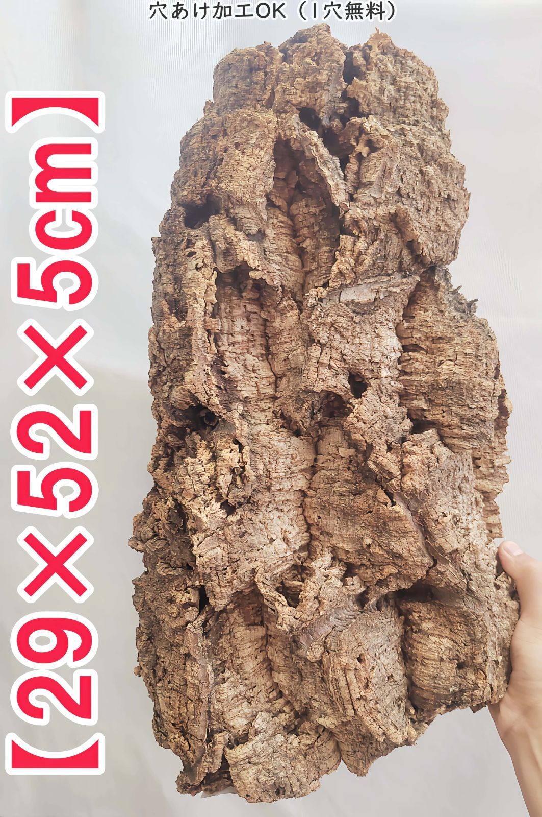 爬虫類シェルター 345 白マット×黒、ブルーとピンク、赤いヒトデ