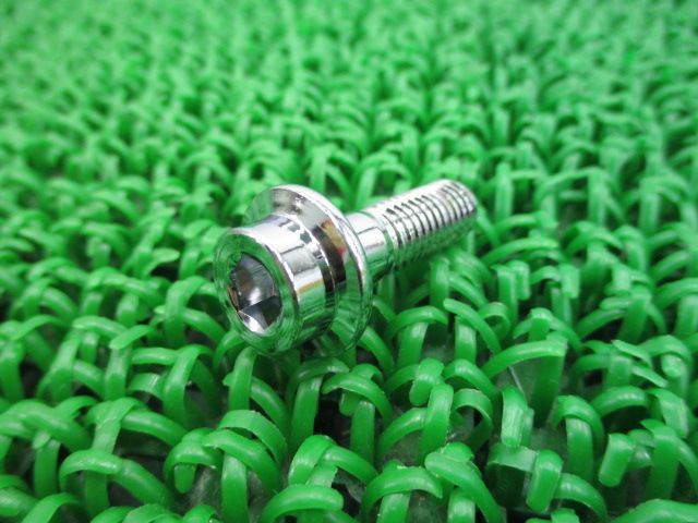 SRX250 ステップホルダーボルト 90110-08066 在庫有 即納 ヤマハ 純正