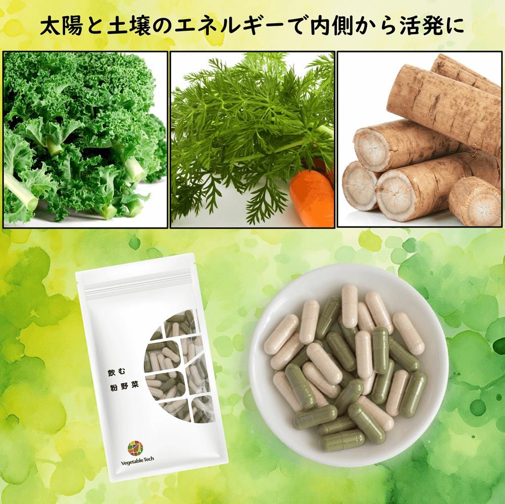 新品 選べる2点セット 飲む粉野菜 ヴィーガン ベジタブルテック サラダ 