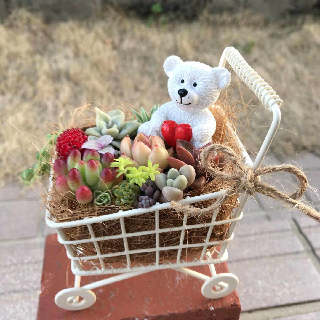 多肉植物 ♡そのまま飾れる寄せ植え♡ブリキカート♬.*゜ 【公式通販】