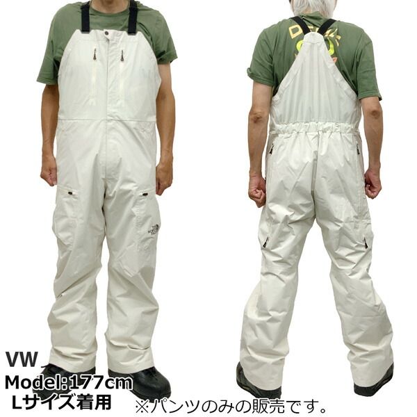 スノーボード ウエア THE NORTH FACE ノースフェイス LAYBACK