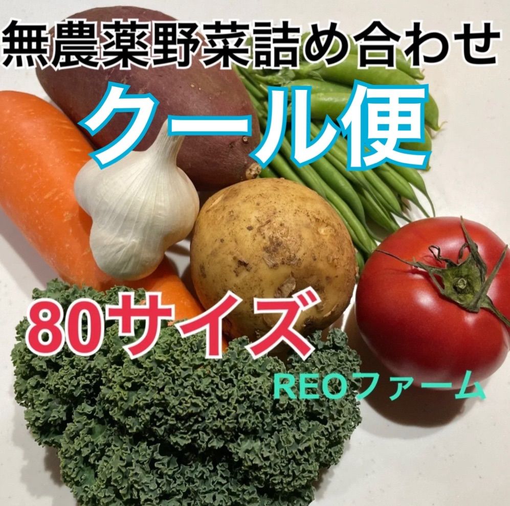 愛知県産 野菜 詰め合わせ セット 70サイズ REOファーム