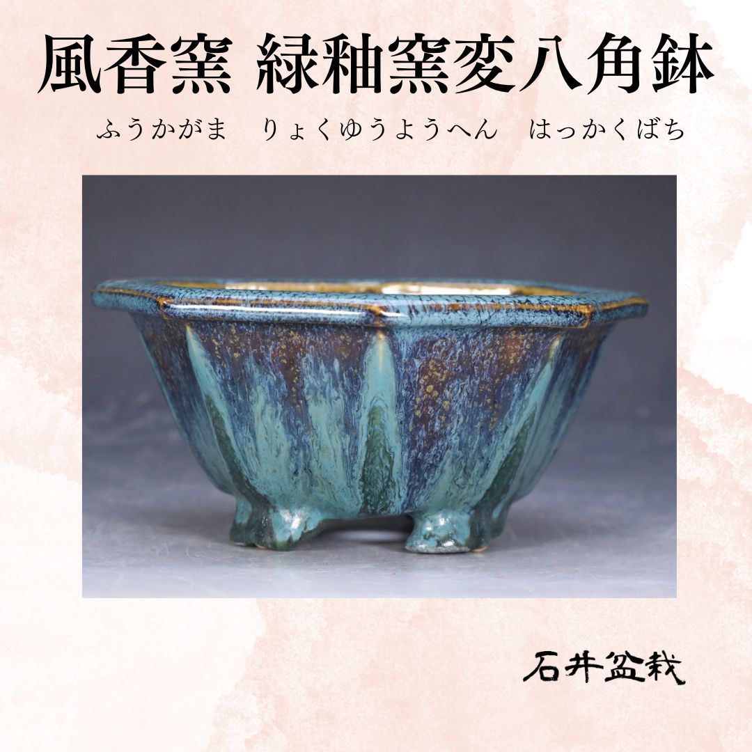 石井盆栽 風香窯 鉢 盆栽鉢 p-066