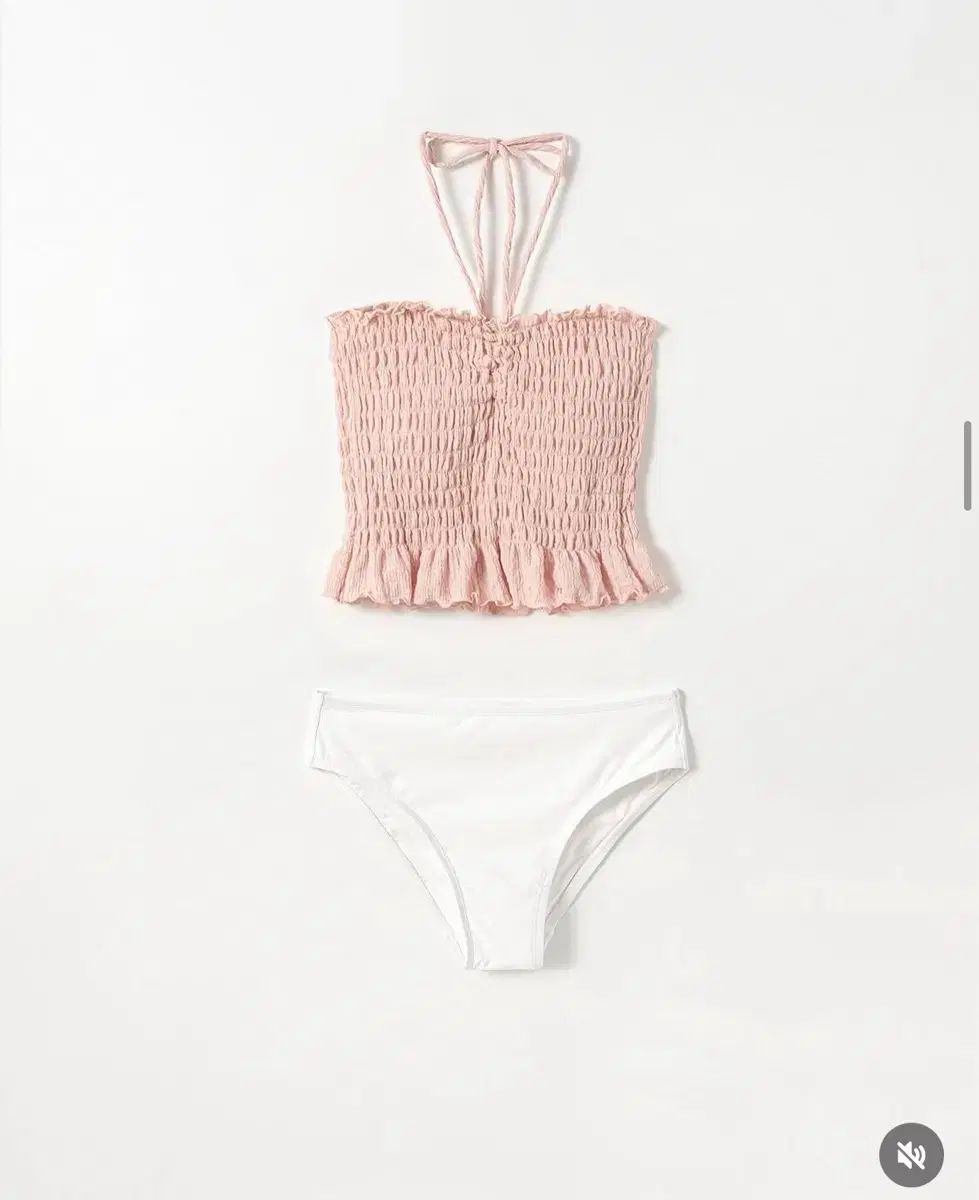 スキニーピッグ ル ヴェイン ビキニ 水着