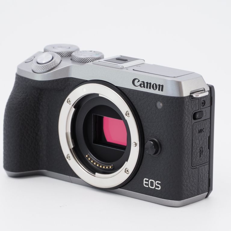 Canon キヤノン ミラーレス一眼カメラ EOS M6 Mark II ボディ シルバー