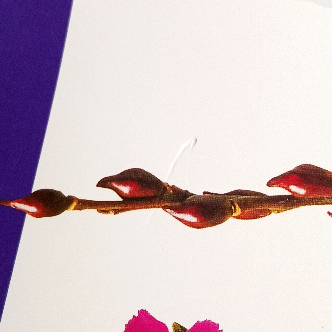 いけばな花材取り合わせ 伝統の和花・枝もの 古本・古書 - メルカリ