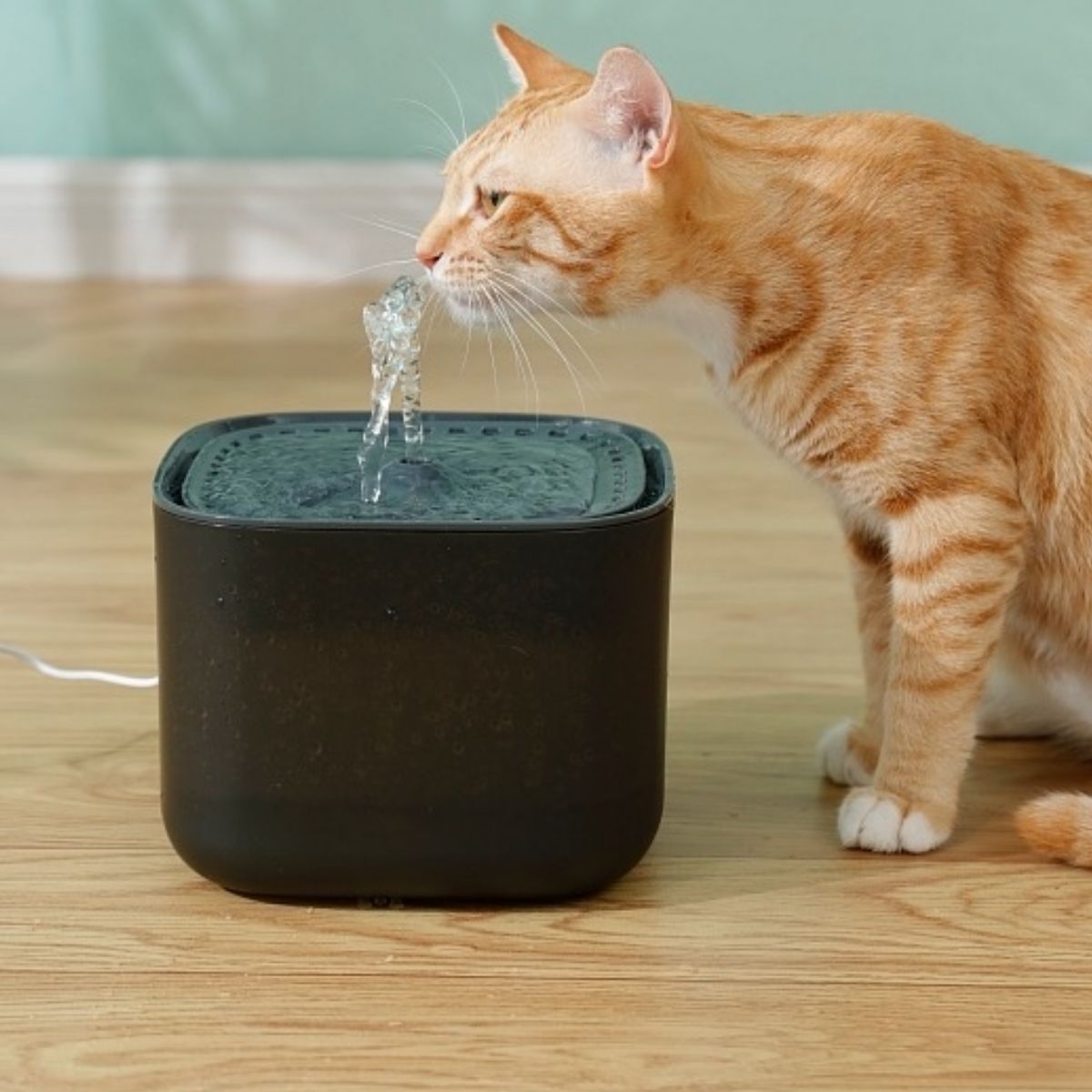 3L ペット給水器自動猫水飲料ディスペンサー 蛇口キット付き USB 充電式猫給水器