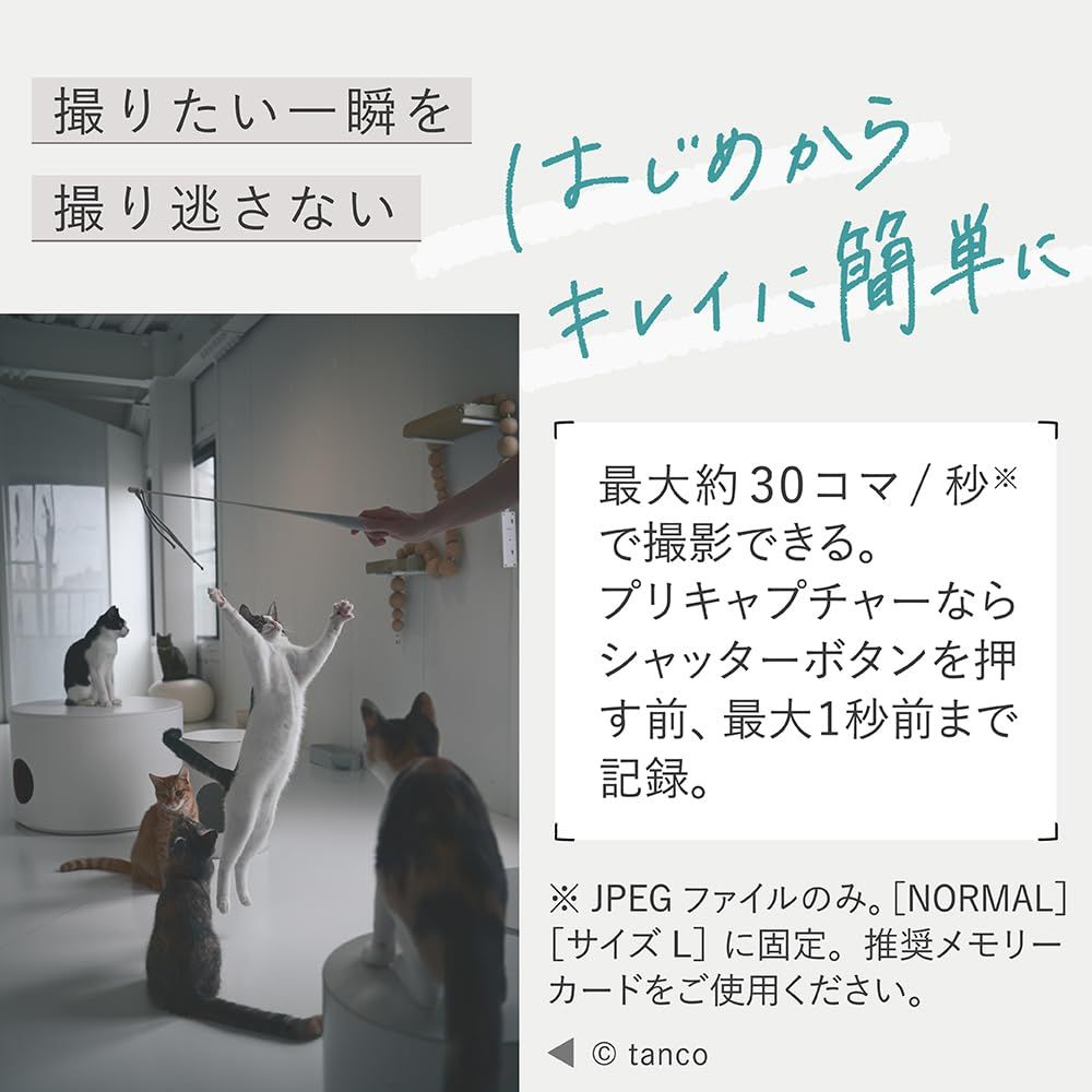 Zマウント