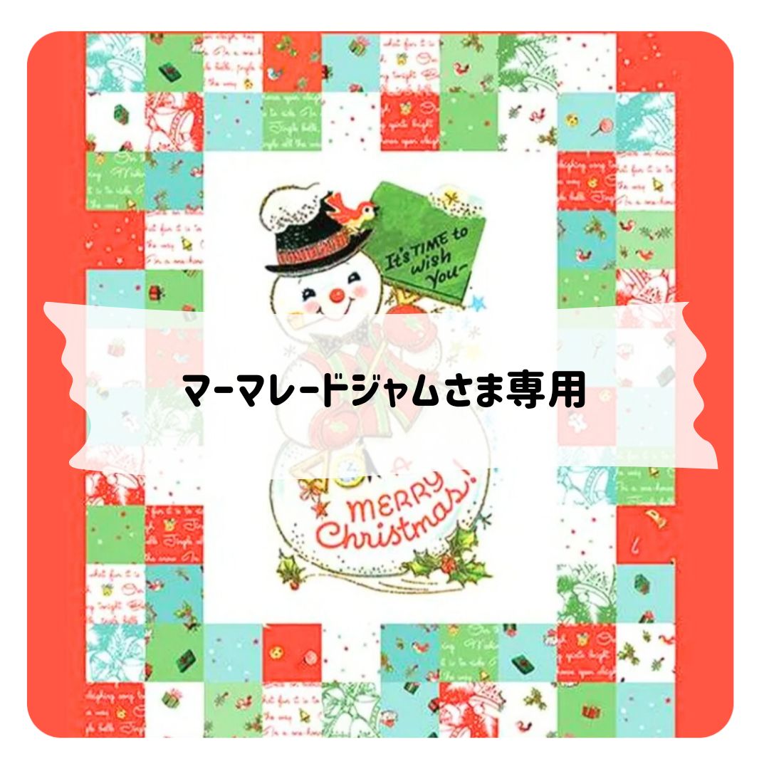 ジャムジャム　完成写真B skzoo10cmぬいぐるみ用 ジャムジャム様専用 完成写真B skzoo10cmぬいぐるみ用