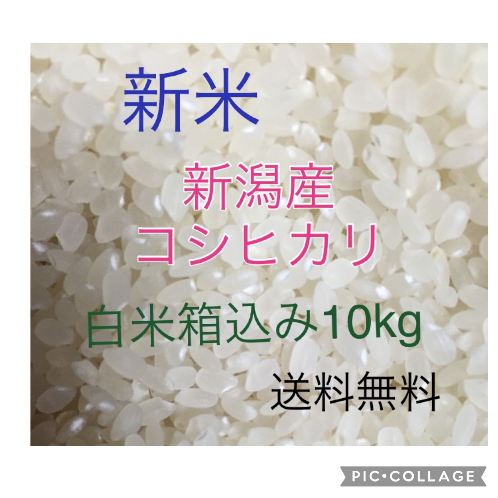 新米 新潟産こがねもち令和5年 白米1.8kg