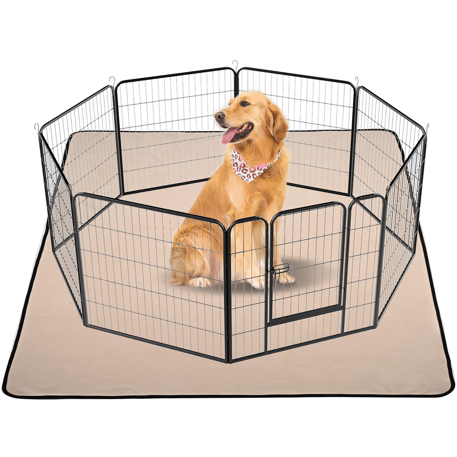 TKC009 アエミリウス・パウルス顕彰デナリウスコイン ローマ人