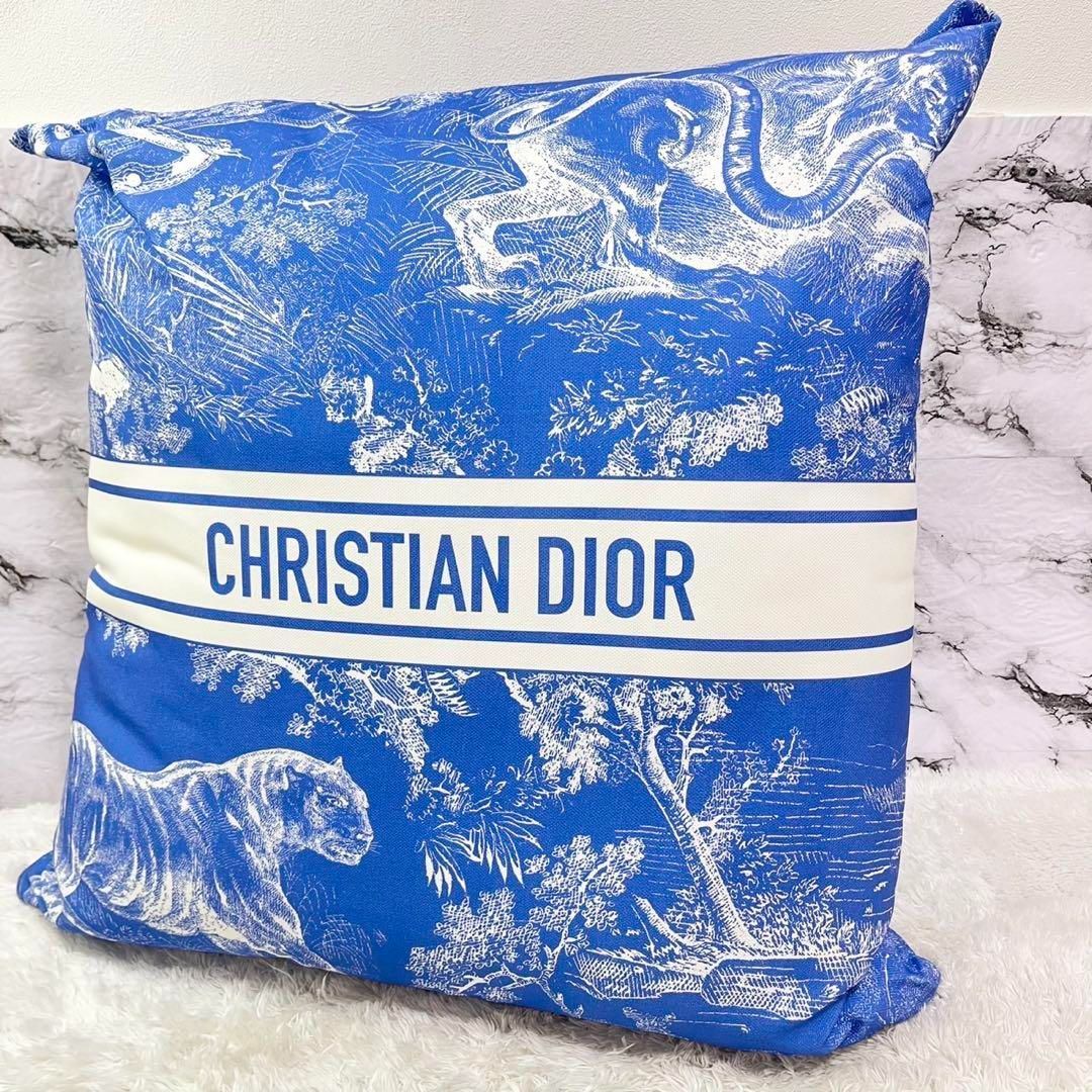 品 期間 品 Christian Dior クリスチャンディオール Dioriviera 2025 Collection サイズ 73×76cm GINZA SIX ポップアップストア