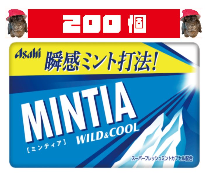 ミンティア ワイルド＆クール 200個入 2024.4賞味 - メルカリ