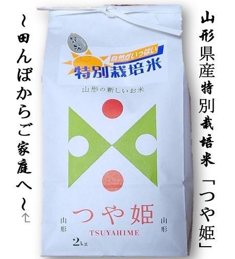 山形県産特別栽培米つや姫10kg 5kg×2袋 白米