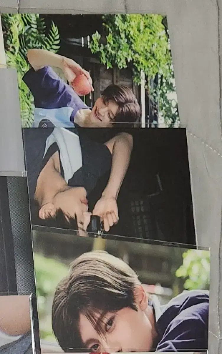 匿名配送】 NCTWISH song bird お渡し会 ポストカード サクヤ NCT WISH