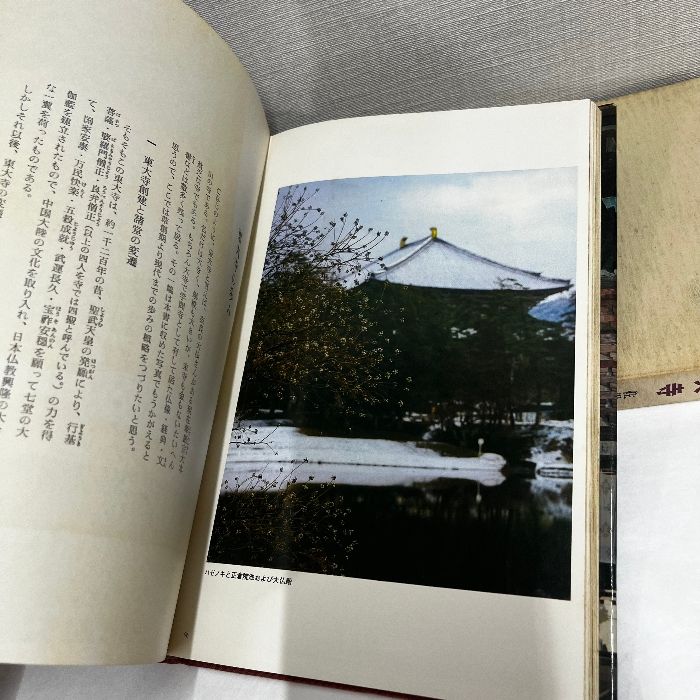 佐保山堯海筆［天地有情］東大寺別当堯海　第209代東大寺管長 東大寺 佐保山堯海 - メルカリ