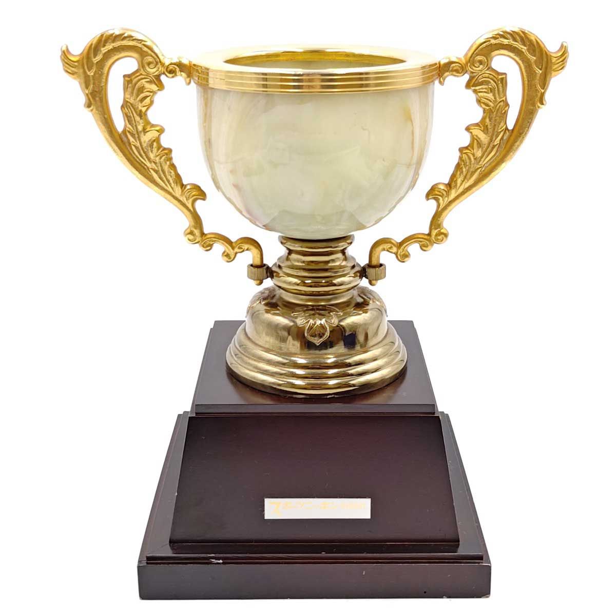 3点セット 日高逸子選手 優勝トロフィー サイン入りプロペラ サイン本 写真付き WWW_OLIVIERBERNSTEIN_COM