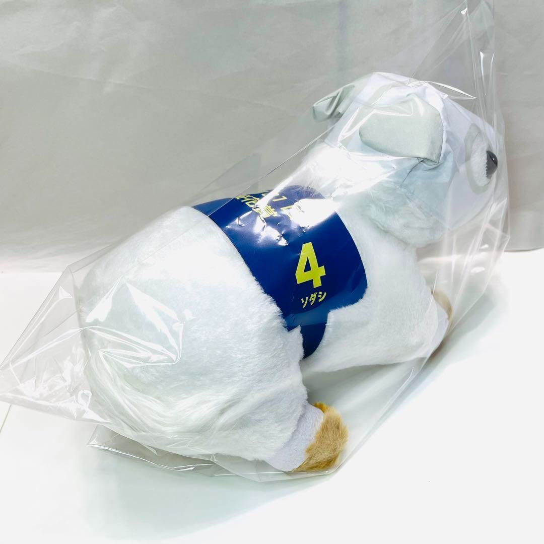 ソダシ ぬいぐるみ 約30cm サラブレッドコレクションBIG （ソダシ