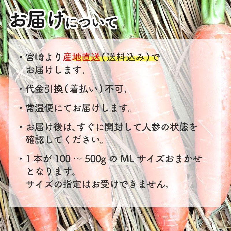 1月発送 原田さんの有機人参 MLサイズ 20kg 1本100～500g 宮崎県産 洗い 有機栽培 有機JAS認証 にんじん ニンジン 国産 産地直送 常温便