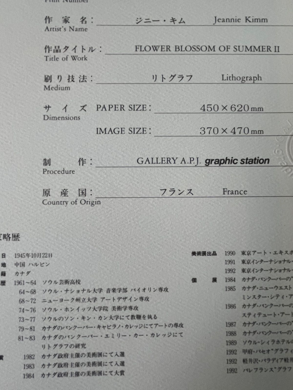 大きめ