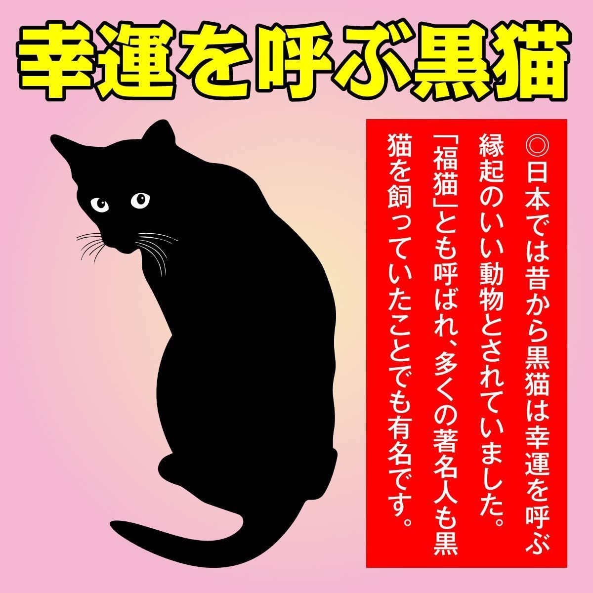 マグネット ドライブレコーダー ドラレコ シール ネコ 猫 CAT