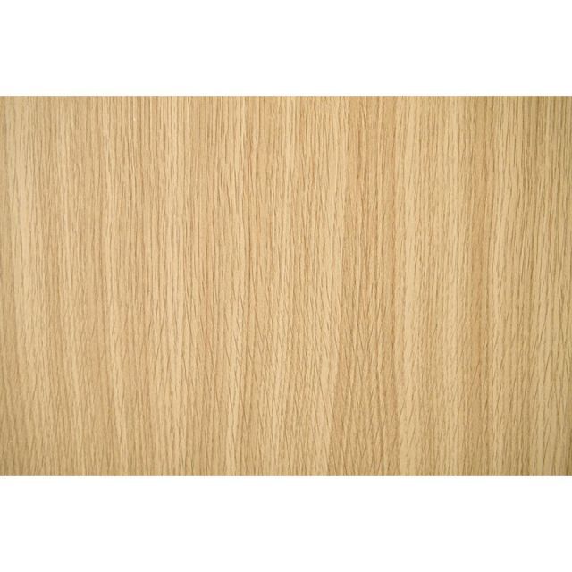 萩原(Hagihara) MUD-6952NA ダストボックス 新生活 インテリア 家具