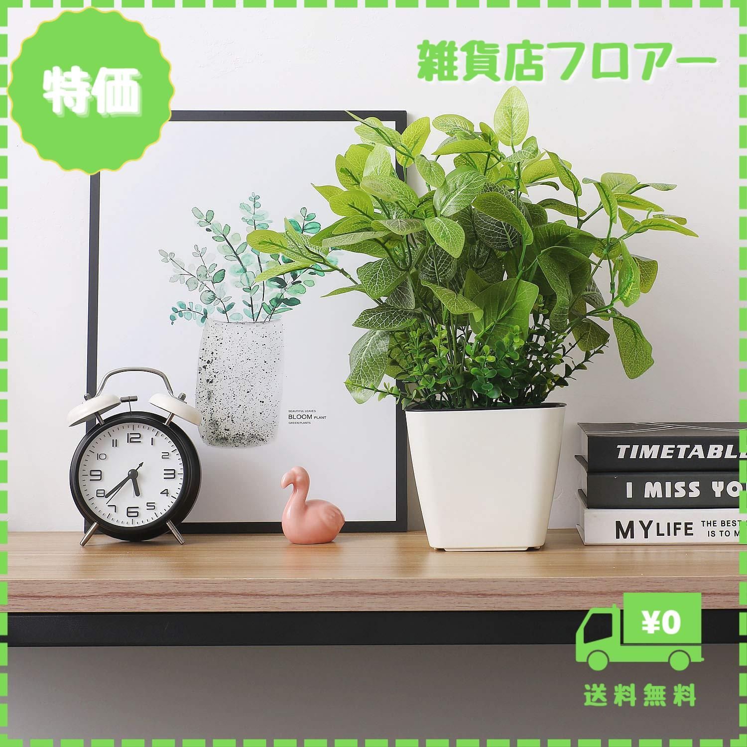 迅速発送】T4U 13.5cm 植木鉢 自己給水プランター 水位計付き 現代風 フラワーポット 観葉植物 多肉植物 花 ハーブ サボテン適用 白 3点セット  - メルカリ