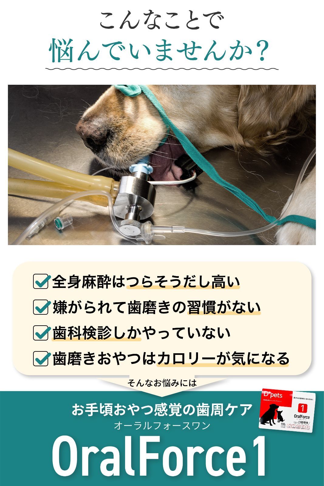 D+pets OralForce 10g×10包　　3箱　ささみ味 D+pets ディーペッツ Oral Force1 10g×10包 犬用 口腔環境