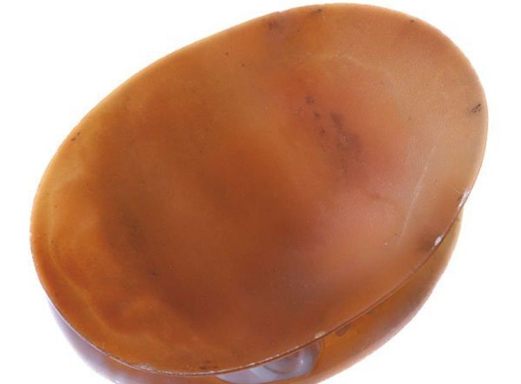 シェルカメオルース 60.2ｍｍ×45.2ｍｍ