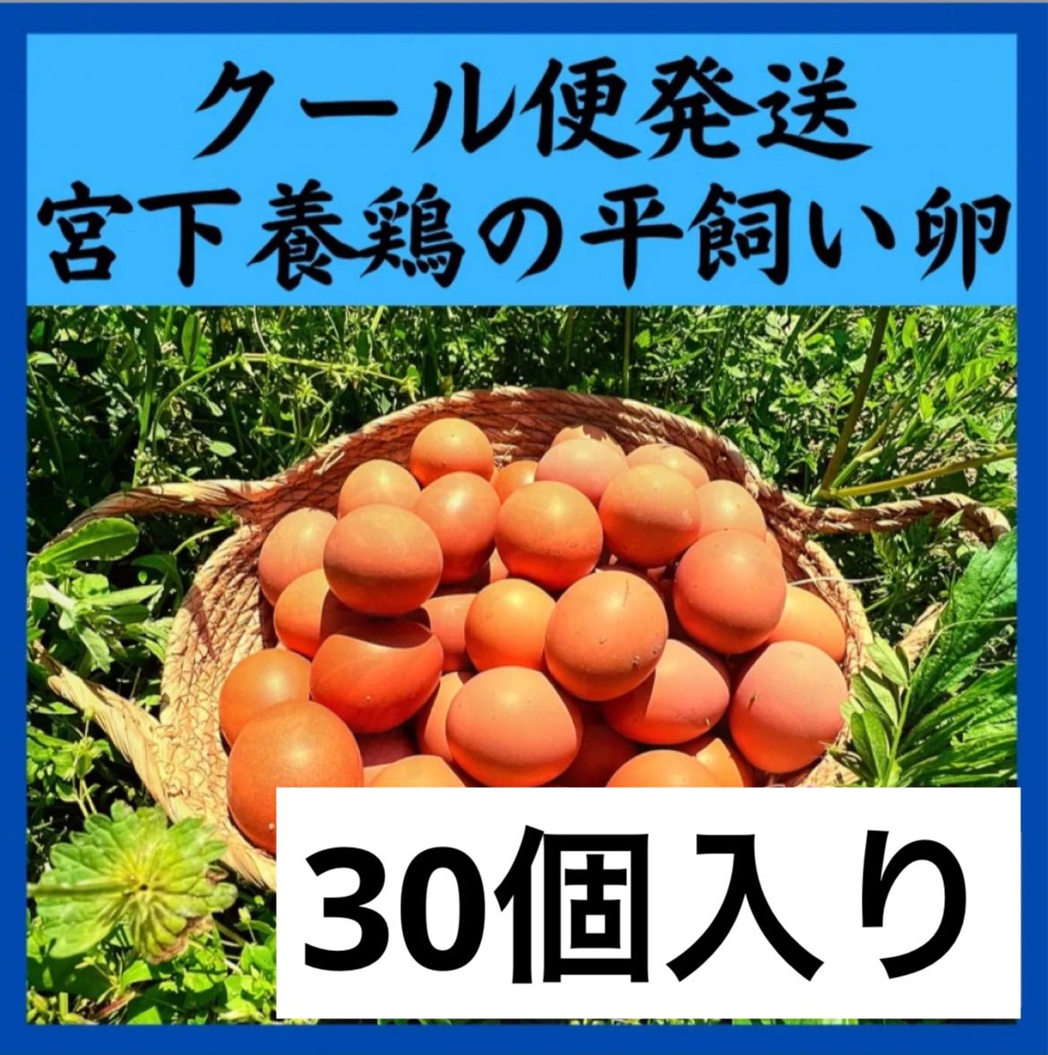 食品 270個入り 佐伯養鶏の朝採れ平飼い卵