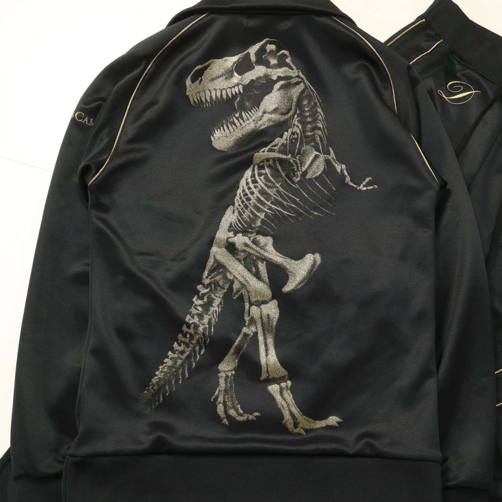 【美品】チャンピオン　ドレスキャンプ　セットアップ　　　 t-rex Lサイズ 最終値下げ！ 激レア！チャンピオン ドレスキャンプT-REX