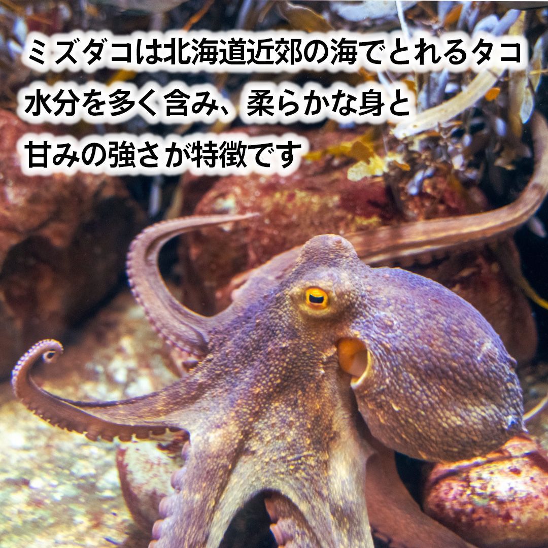 激安 格安 お得【北海道産】タコ 水たこ ミズダコ 特大 たこ足 なんと1本で 約 900ｇ 前後 たこ焼き 蛸 - メルカリ