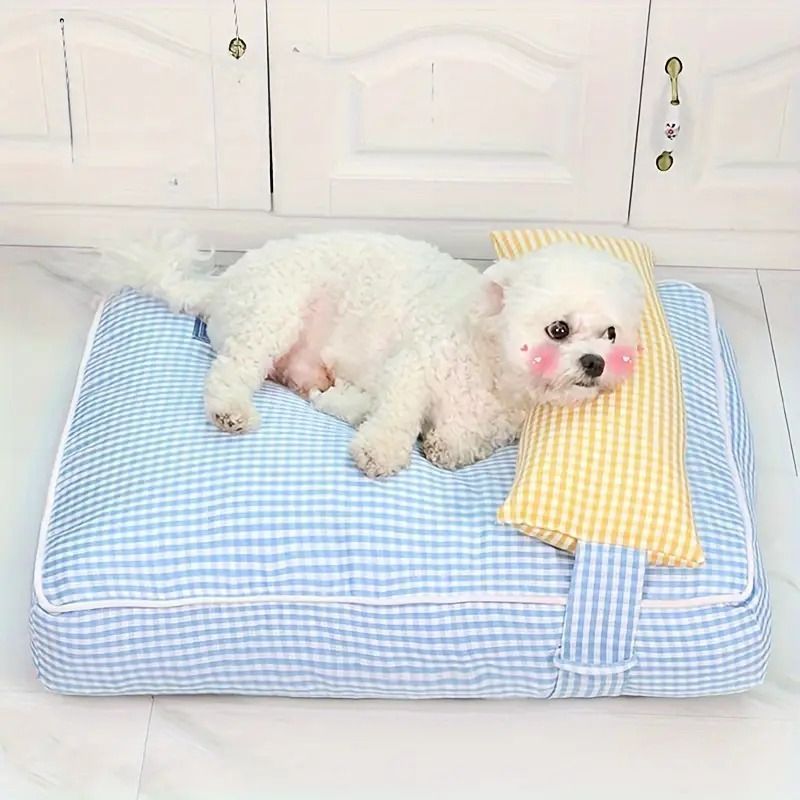 超小型犬 小型犬
