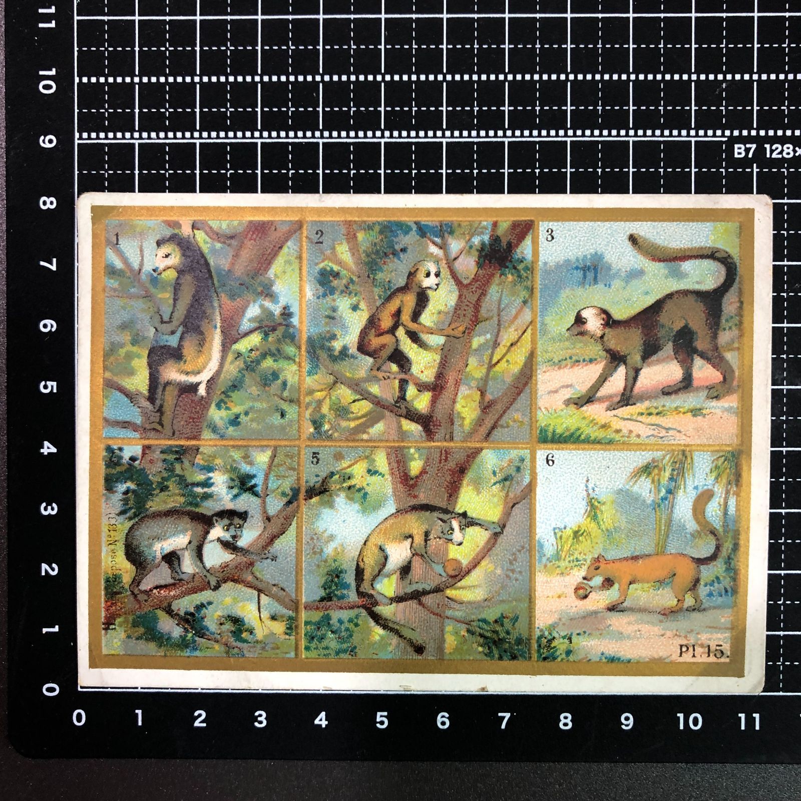 3枚セット! まとめ 】クロモカード フランス アンティーク