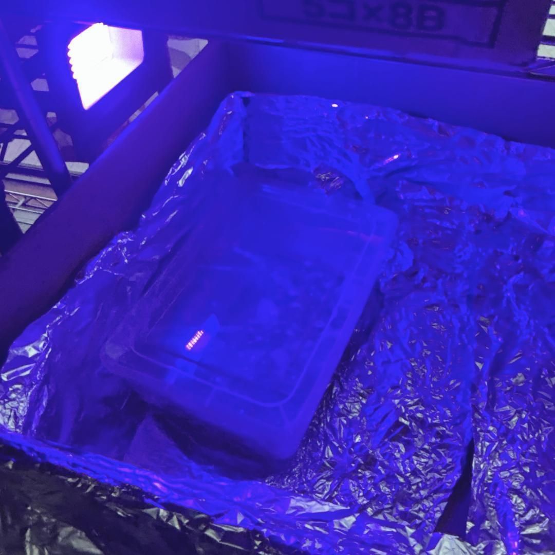 ✅一発起動　スーパーファミコン　令和に蘇るHDMI接続仕様 ✅一発起動　スーパーファミコン　令和に蘇るHDMI接続仕様