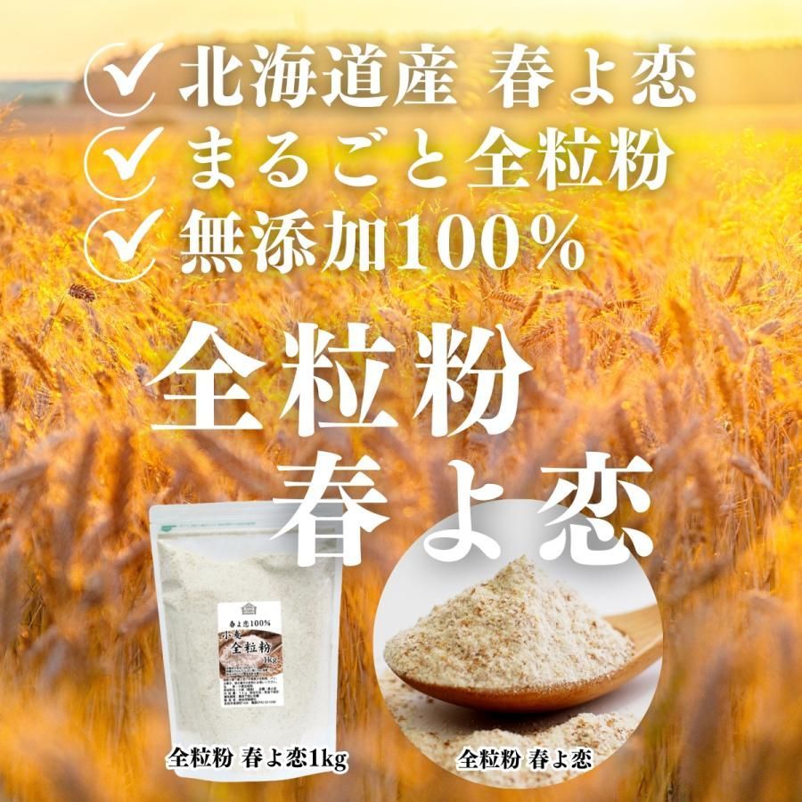 全粒粉 1kg 怖 小麦粉 国産 強力粉 パン用 業務用 ぜんりゅうふん