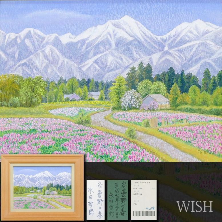 真作 WISH 永田哲郎 安曇野の春 油彩 8号 1995年作 一枚の絵取扱 ◆花野と雪山の春 〇白日会会友 元創元会運営委員 25092480